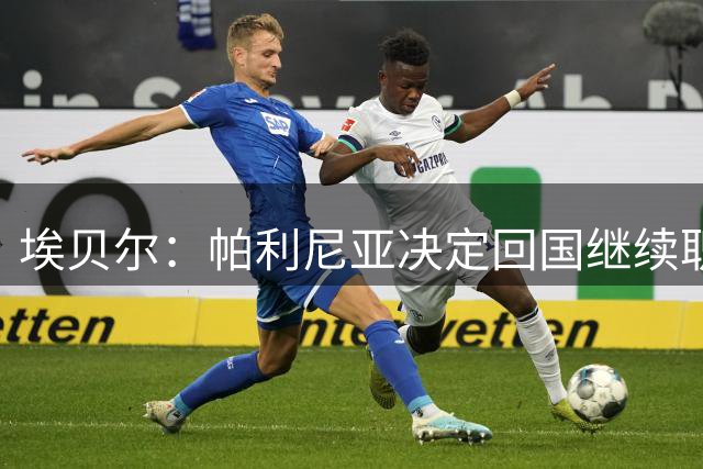 埃贝尔：帕利尼亚决定回国继续职业生涯，感谢他在拜仁期间的贡献