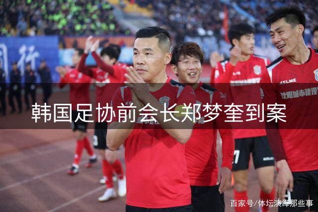 韩国足协前会长郑梦奎到案